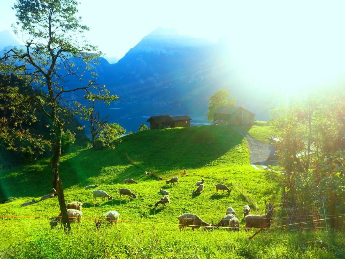 Panorama Jurte Ueber Dem Uri-see A लक्जरी तम्बू Sisikon