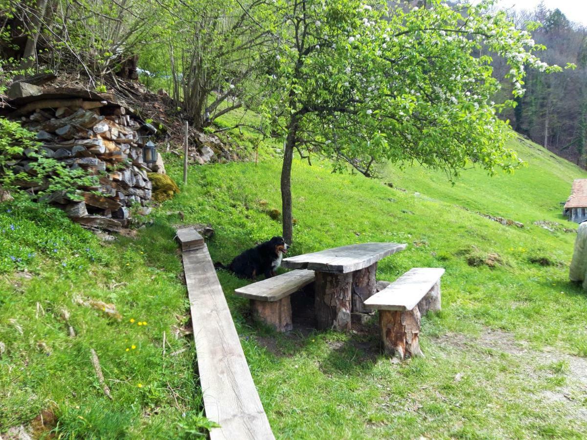 Luxusní stan Panorama Jurte Ueber Dem Uri-see A Sisikon