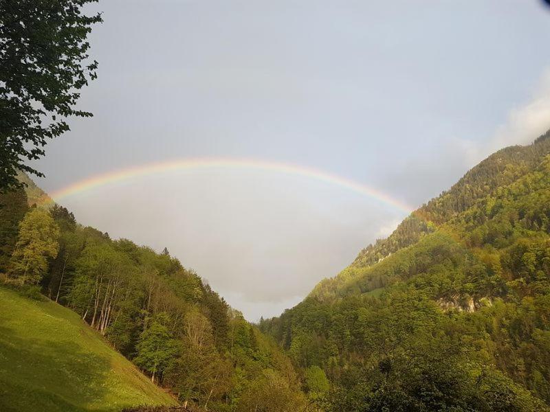 Panorama Jurte Ueber Dem Uri-see A * Sisikon