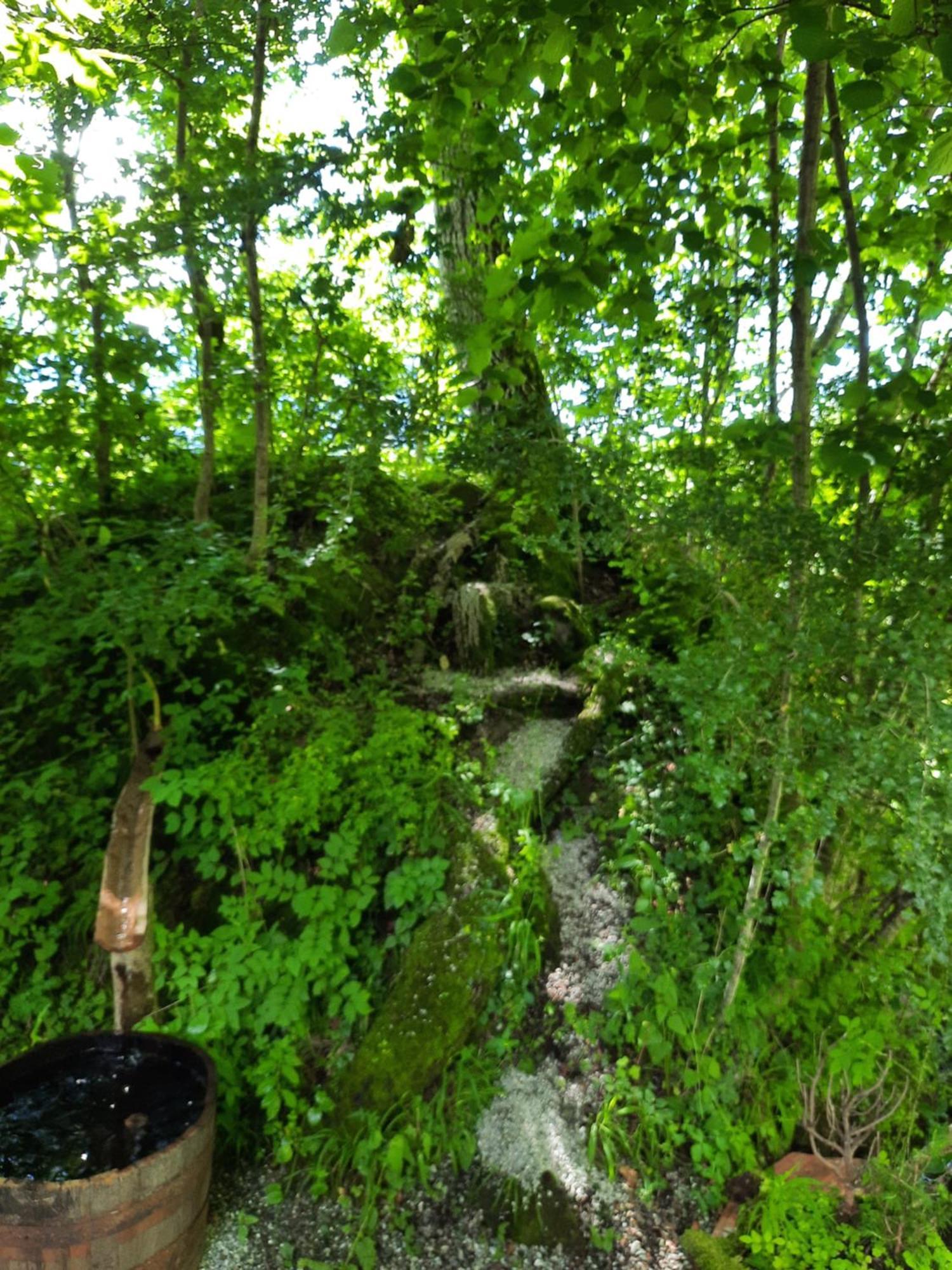 Panorama Jurte Ueber Dem Uri-see A Luxury tent Sisikon