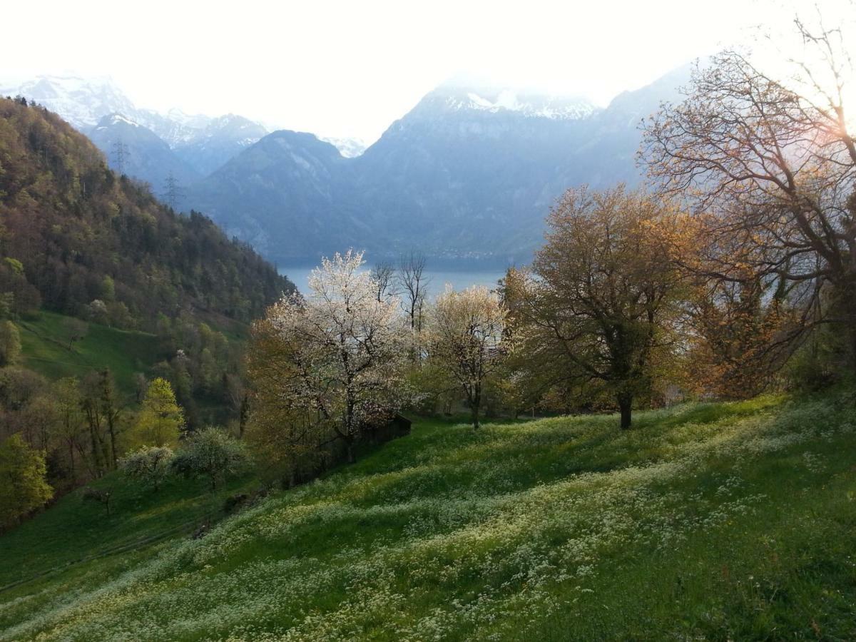 Panorama Jurte Ueber Dem Uri-see A *