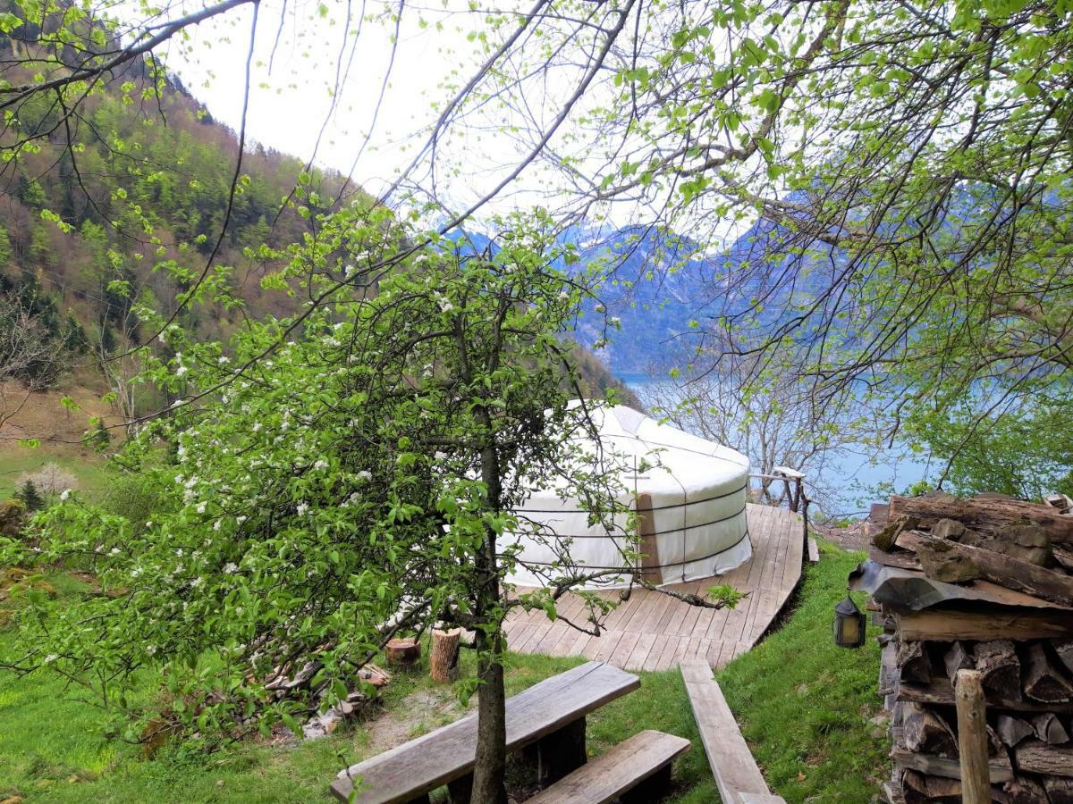 Panorama Jurte Ueber Dem Uri-see A *