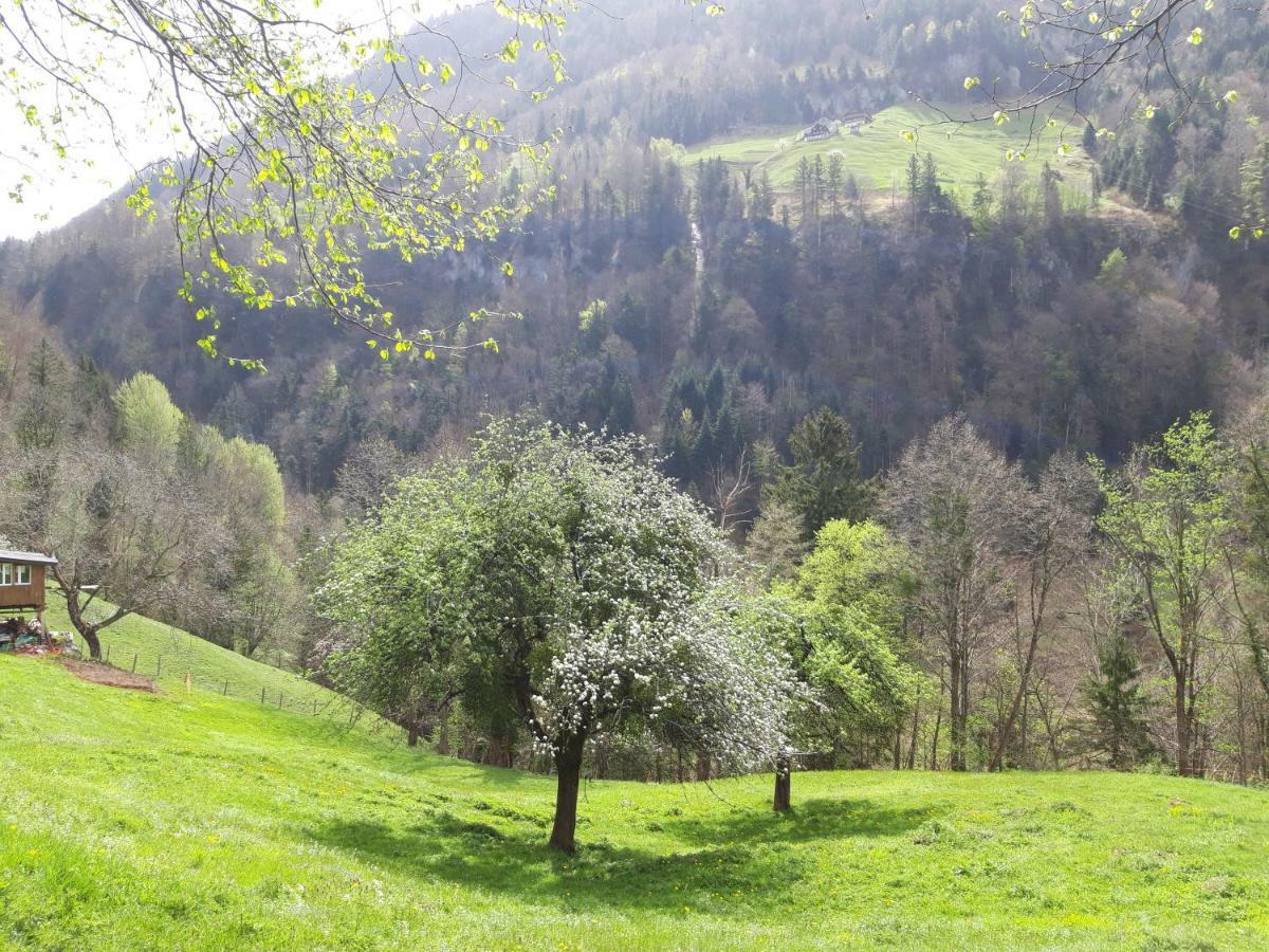 Panorama Jurte Ueber Dem Uri-see A *