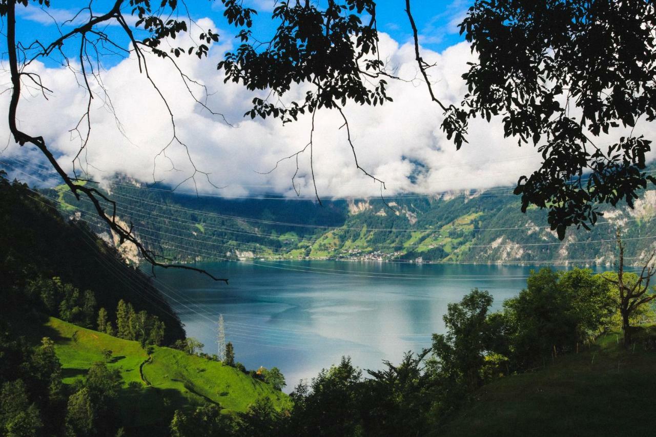 Panorama Jurte Ueber Dem Uri-see A *